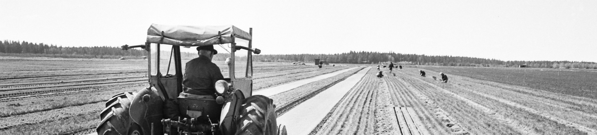 En traktor plogar fåror i en åker
