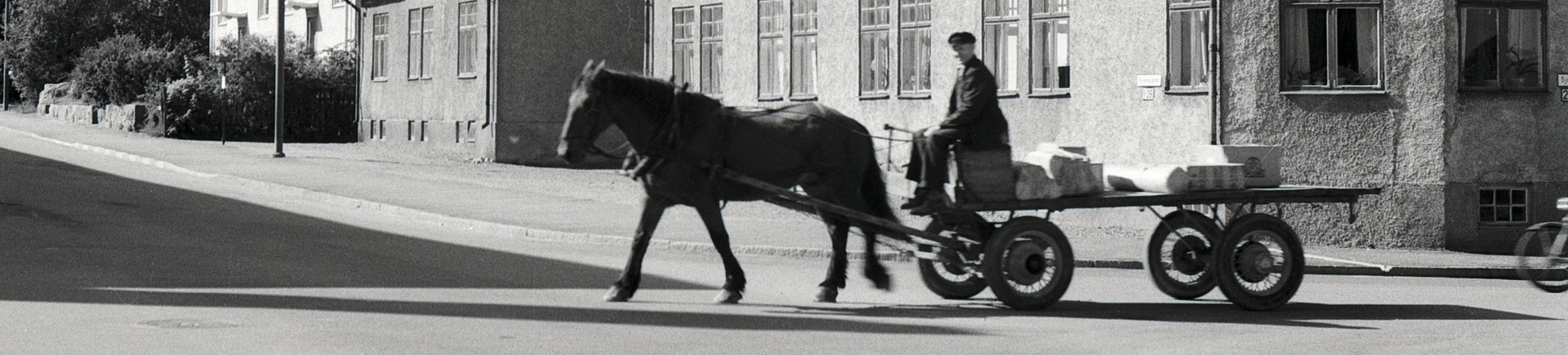 svartvit bild på häst med vagn i stadsmiljö