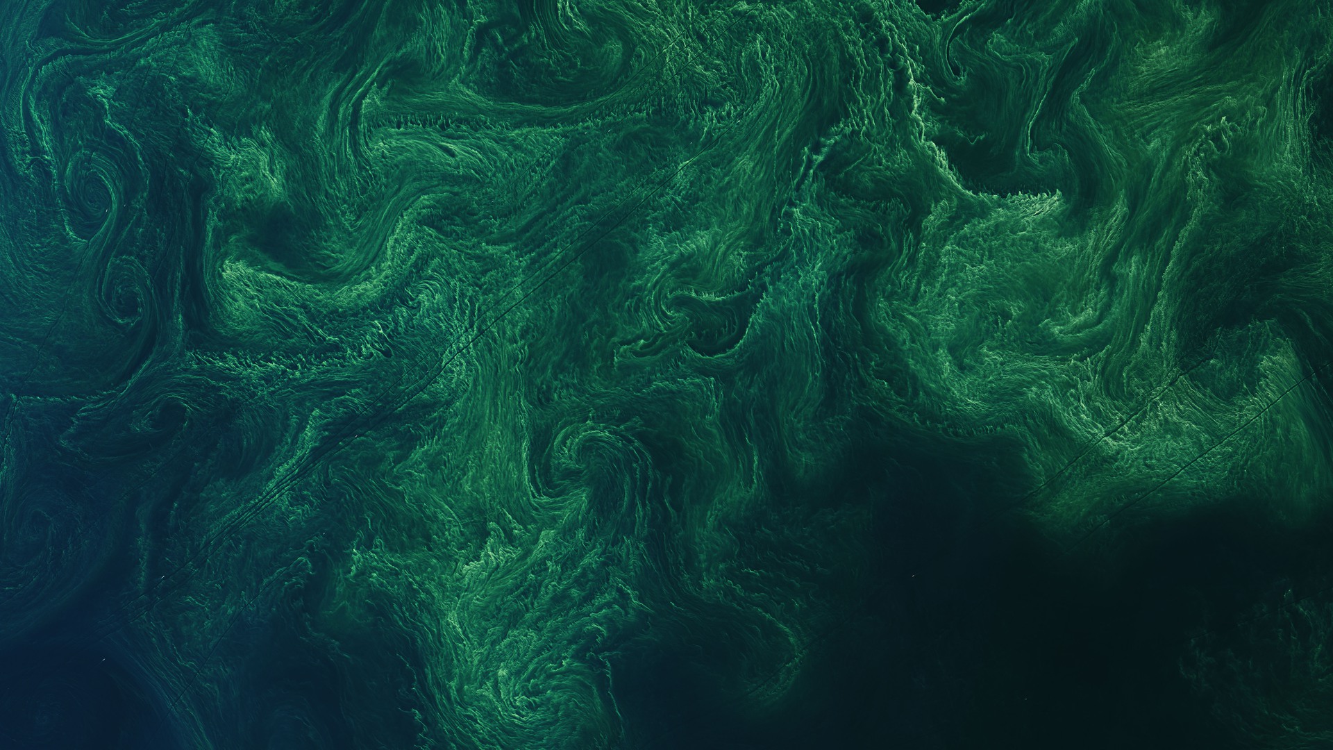 En satellitbild av NASA visar hur cyanobakterier blommar i Östersjön.