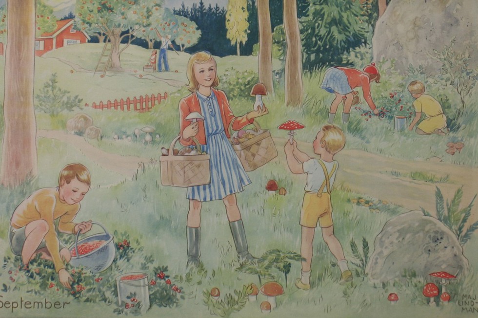 En skolplansch som visar barn som plockar bär i skogen.