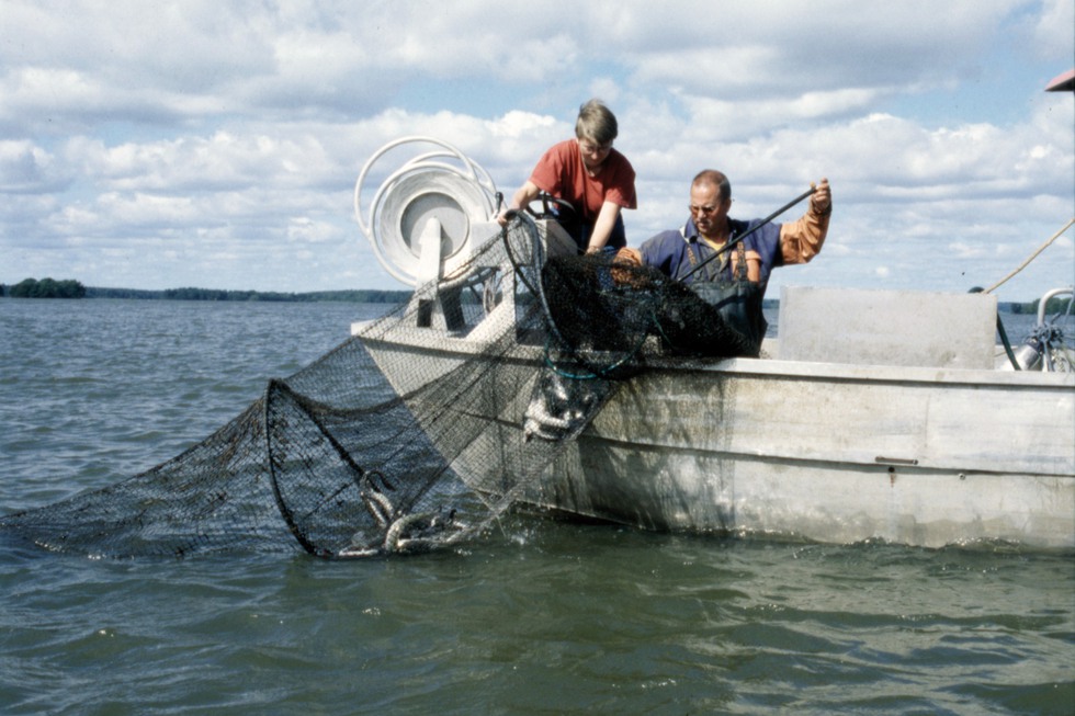 Två människor på en båt som fiskar ål.