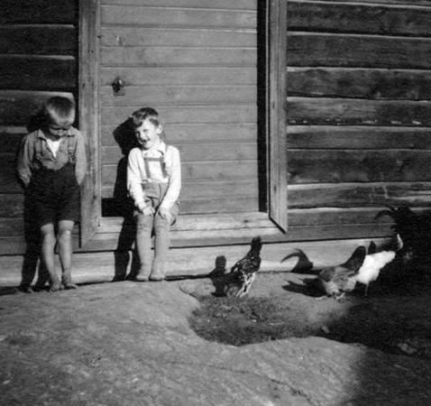 Två pojkar leker framför ett timrat hus, ett antal höns vankar runt på gårdsplanen