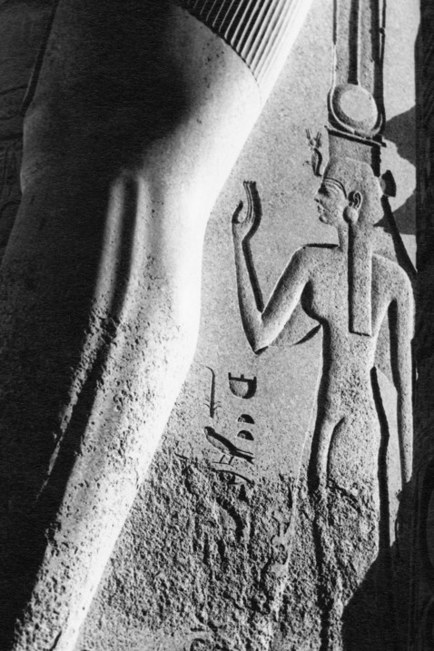 Närbild på en del av en staty, en bild på en kvinna är inristad under vad som ser ut som ett stort ben.