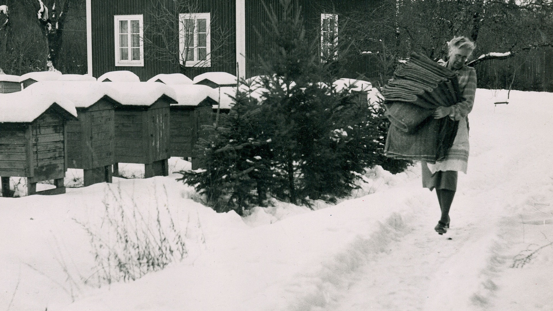 Vera Klinebäck går med färdiga Ripsa-plädar i ett snöigt landskap.