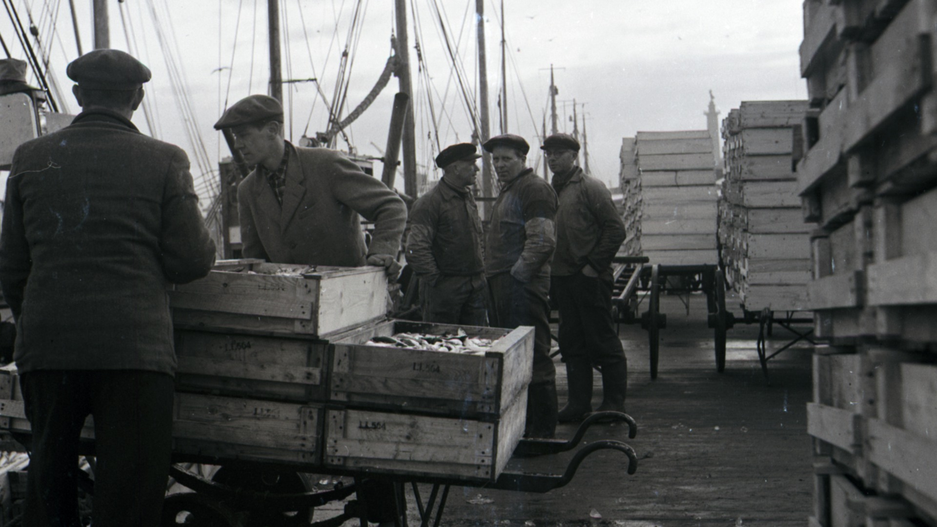 Fiskare och uppköpare möts i Nyköpings hamn.