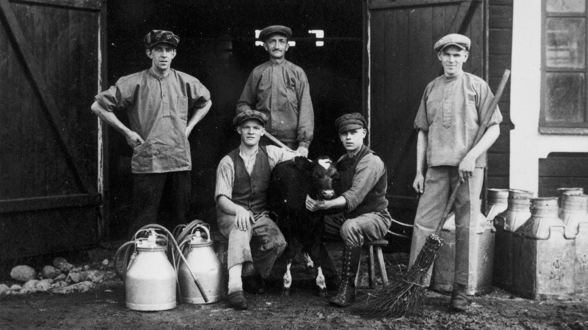 Fem män poserar framför ladugården med en kalv, jämte står mjölkmaskin och mjölkflaskor.
