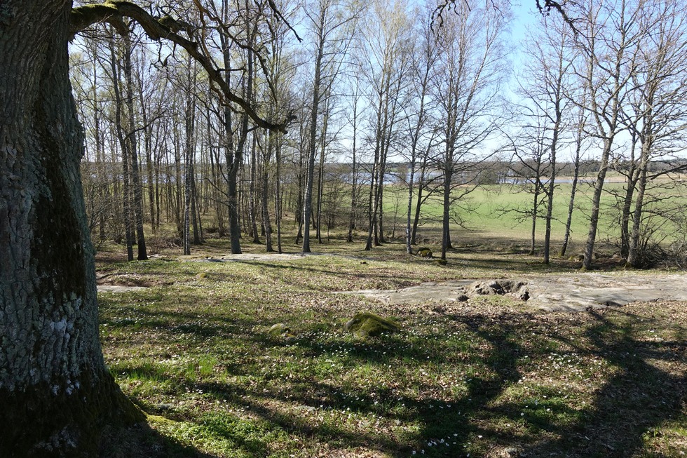 Idag ligger Ullevi hällristningar intill Nyckelsjön, i ett vackert landskap med ek och hassel.